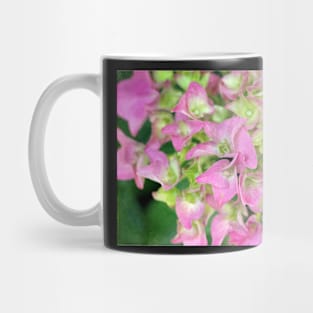 Beauty is God's Handwriting Mug